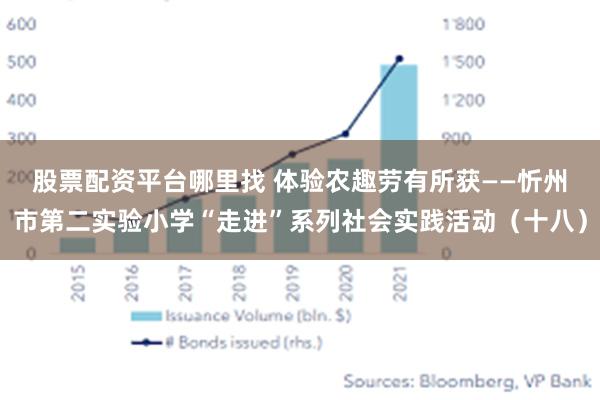 股票配资平台哪里找 体验农趣　劳有所获——忻州市第二实验小学“走进”系列社会实践活动（十八）