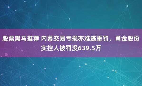 股票黑马推荐 内幕交易亏损亦难逃重罚，甬金股份实控人被罚没639.5万