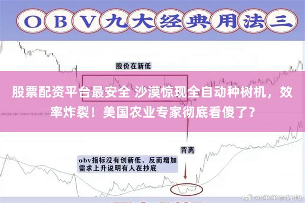 股票配资平台最安全 沙漠惊现全自动种树机，效率炸裂！美国农业专家彻底看傻了？