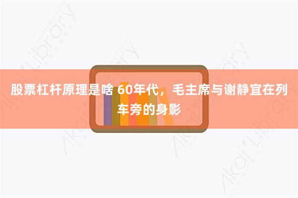 股票杠杆原理是啥 60年代，毛主席与谢静宜在列车旁的身影